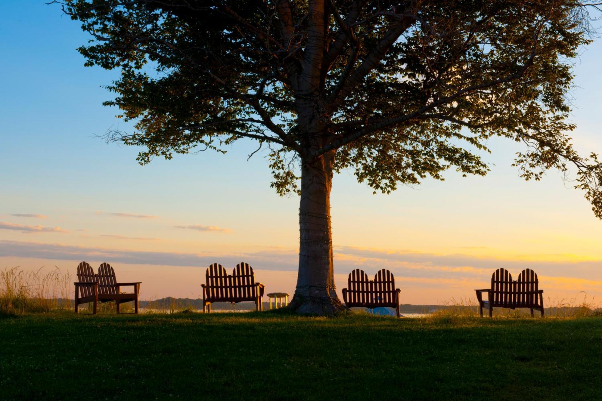 Hyatt Regency Chesapeake Bay Golf Resort, Spa & Marina Кембридж Экстерьер фото